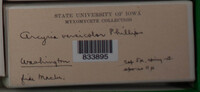 Image Associated With the Occurence